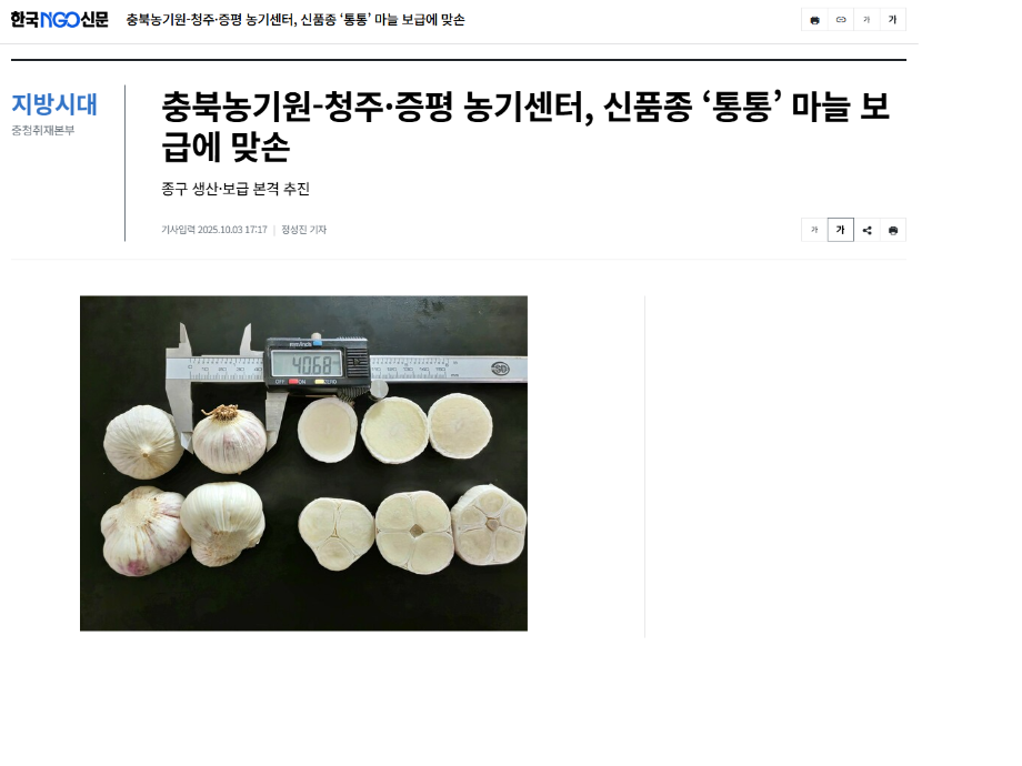 충북농기원-청주·증평 농기센터, 신품종 ‘통통’ 마늘 보급에 맞손