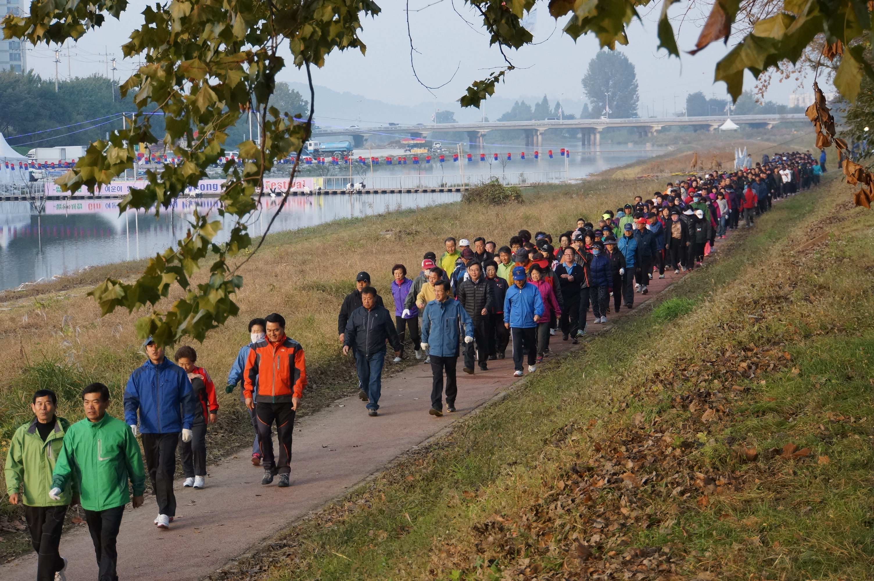 인삼골축제 현장스케치2(군민건강 걷기대회, 영산대제, 콩떼기 체험)