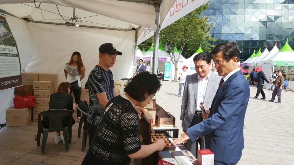 전국 인삼대축제