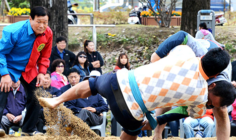 曾坪人参杯全国大力士摔跤大会