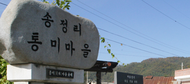 송정리 마을 전경