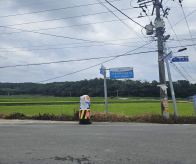덕암마을의 논