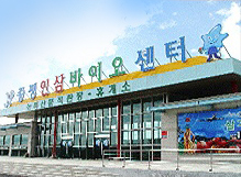 인삼