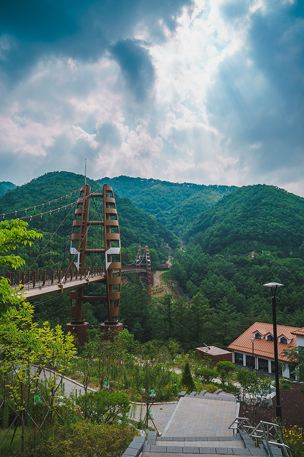 좌구산 사진