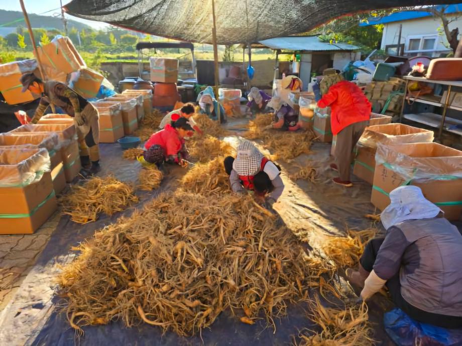 증평군,‘증평형 농촌일손 더하기’로 농촌 활력 더해