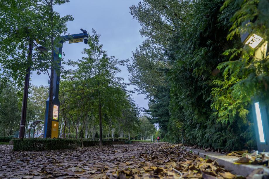 보행자 따라 켜지는 불빛... 증평군, 스마트 산책로로 안전·편의 잡았다