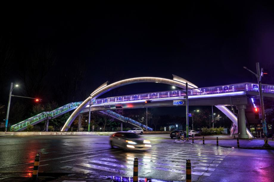 다채로운 빛으로 밝힌 증평의 밤, 매력적인 도시로 변신