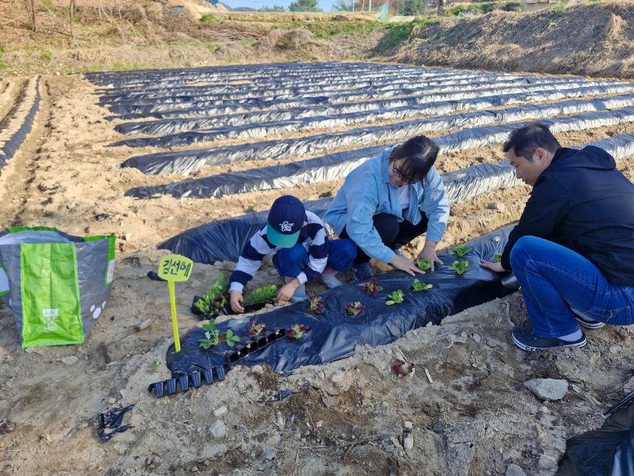 증평 삼보산골마을,“흙 만지고 수확의 기쁨까지”...체험형 주말농장 분양