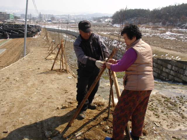 증평군 12개 마을 탄소순환마을로 재탄생