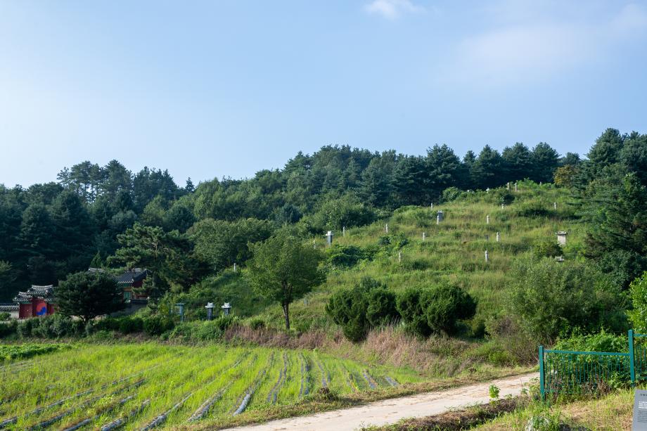 비지정문화재 영산신씨 묘역