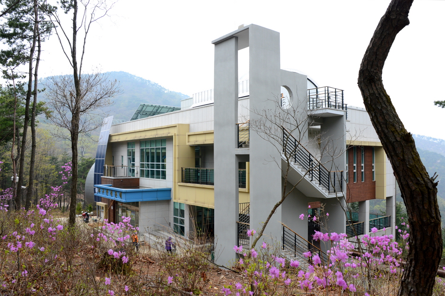 좌구산 천문대와 연리지길 의 봄 < 증평포커스 < 사진 < 미디어