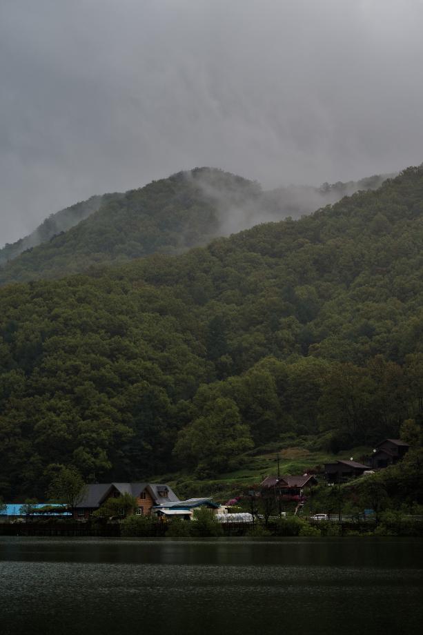 비오는 날 삼기저수지 전경