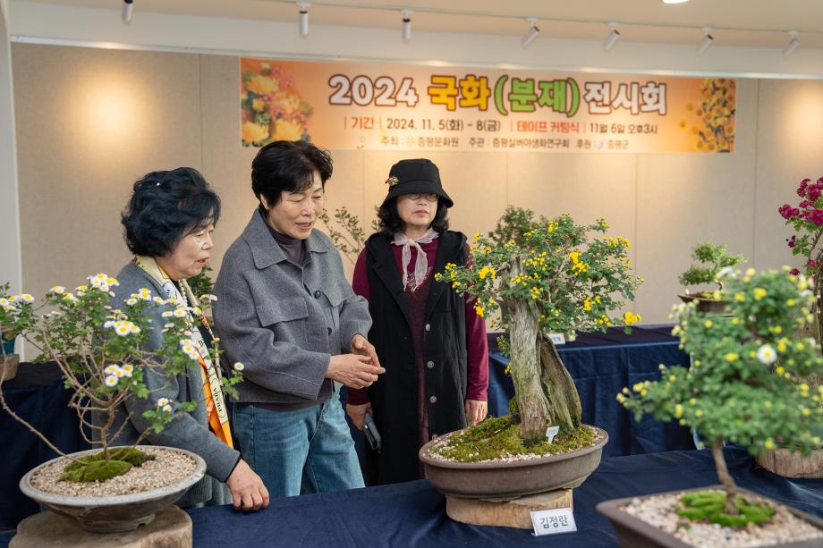 가을향기 물씬 풍기는 증평 국화전시회 개최