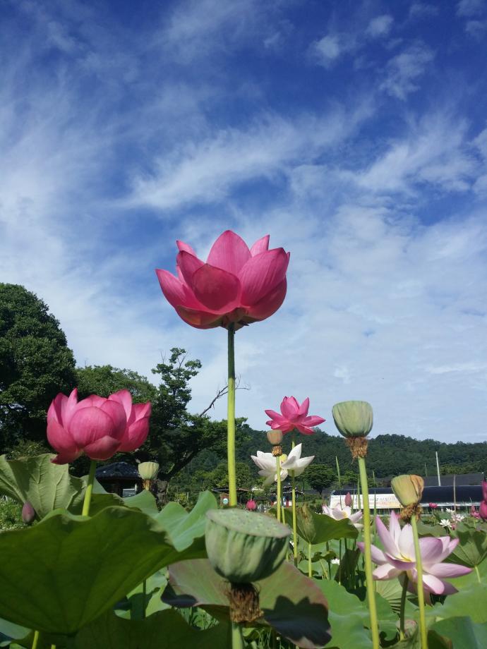 박물관에서 볼수있는...