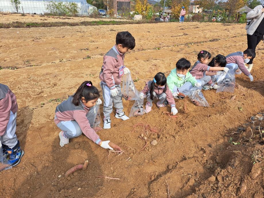 삼보초등학교병설유치원 견학