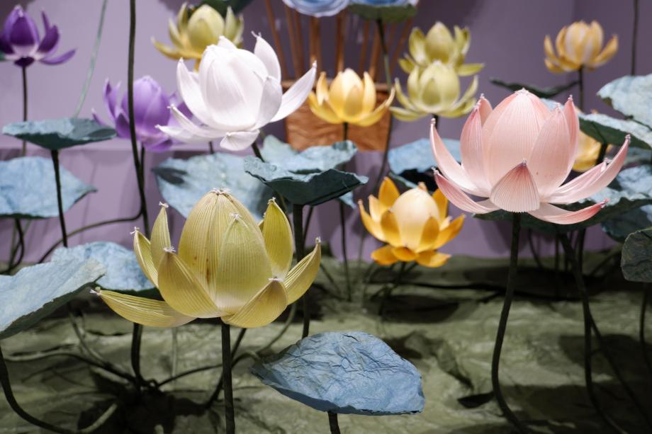 DSCF4267.JPG 이미지