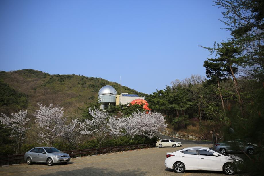 꽃이 만개한 좌구산천문대