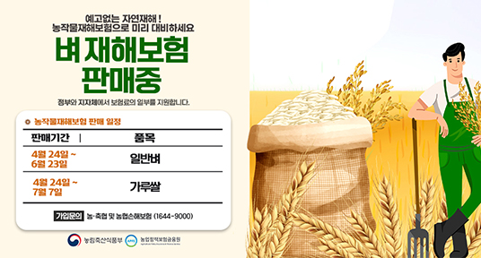 예고없는 자연재해
농작물재해보험으로 미리 대비하세요
벼 재해보험 판매중
정부와 지자체에서 보험료의 일부를 지원합니다.
농작물재해보험 판매 일정
판매기간 4월 24일~6월23일 품목 일반벼
4월24일~7월7일 가루쌀
가입문의 농축협 및 농협손해보험 1644-9000