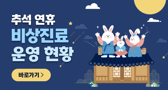 추석 연휴 비상진료 운영 현황