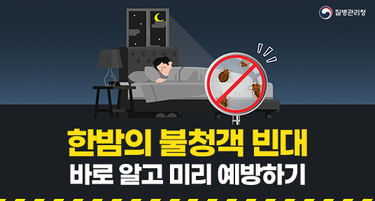 한밤의 불청객 빈대 바로 알고 미리 예방하기